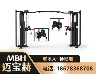 广元大飞鸟训练器